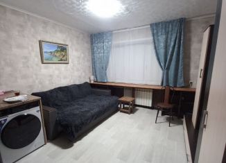 Сдается квартира студия, 18 м2, Московская область, Российская улица, 40