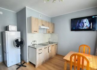 Квартира в аренду студия, 21 м2, Санкт-Петербург, Садовая улица, 81