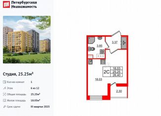 Продажа квартиры студии, 25.3 м2, Санкт-Петербург, муниципальный округ Коломяги