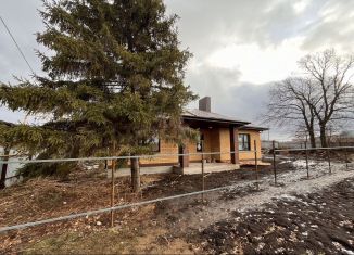 Дом на продажу, 120 м2, деревня Старые Ерыклы, Центральная улица, 30