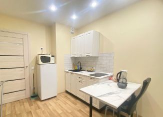 Продается квартира студия, 24.3 м2, Санкт-Петербург, Михайловская улица, 51