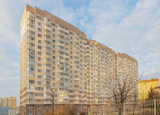 Продажа однокомнатной квартиры, 38.8 м2, Санкт-Петербург, Туристская улица, 13к1, муниципальный округ № 65