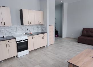 Аренда 2-ком. квартиры, 43 м2, Красноярский край, улица Сады, 6Г