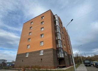 Продается 2-комнатная квартира, 55 м2, Красноярский край, Новая улица, 1Б