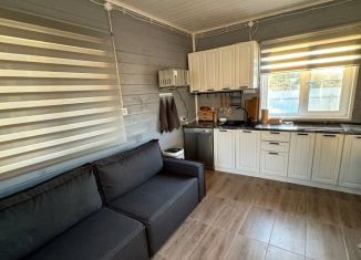 Продается дом, 62.3 м2, деревня Большое Прокошево, деревня Большое Прокошево, 35Г