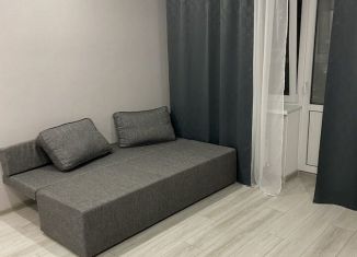 Сдам квартиру студию, 30 м2, Краснодарский край, улица Григория Булгакова