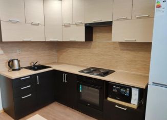 Сдам в аренду 1-комнатную квартиру, 45 м2, Московская область, улица Дзержинского, 22А