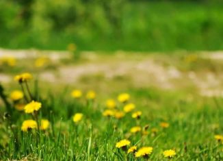 Продам земельный участок, 16.6 сот., деревня Муравлево