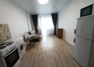 Сдача в аренду квартиры студии, 37 м2, Абакан, улица Кирова, 212А