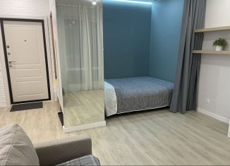 Сдаю квартиру студию, 30 м2, Петрозаводск, Вьюжный проезд, 12