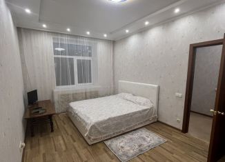 1-ком. квартира в аренду, 40 м2, Пермский край, 1-я Красноармейская улица, 58А