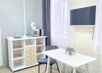 Аренда квартиры студии, 25 м2, Пермский край, улица Труда, 27