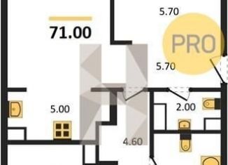 Двухкомнатная квартира на продажу, 71 м2, Новосибирск, Красный проспект, 220, Заельцовский район