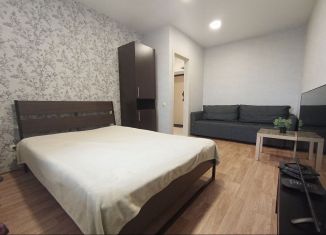 Сдается в аренду 1-ком. квартира, 31 м2, Димитровград, Мостовая улица