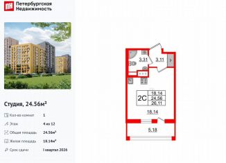 Квартира на продажу студия, 24.6 м2, Санкт-Петербург, Приморский район