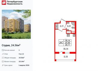 Продажа квартиры студии, 24.6 м2, Санкт-Петербург, Приморский район