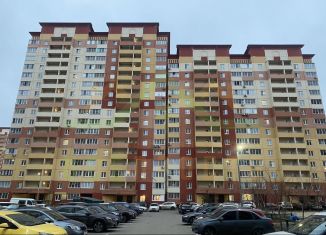 Продается 2-комнатная квартира, 61.7 м2, деревня Островцы, Баулинская улица, 11