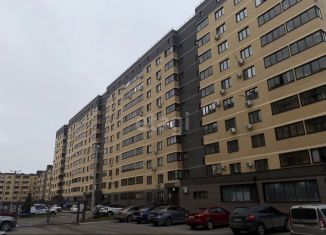 1-комнатная квартира на продажу, 50.2 м2, Воронежская область, Ржевская улица, 11